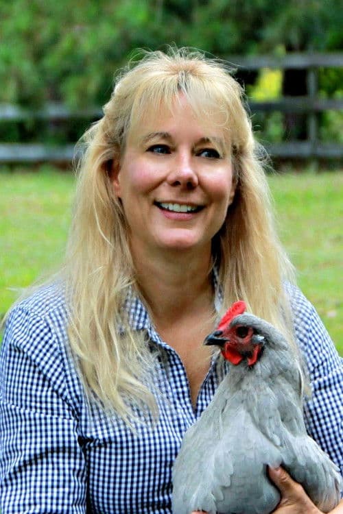 Lisa Steele profile photo