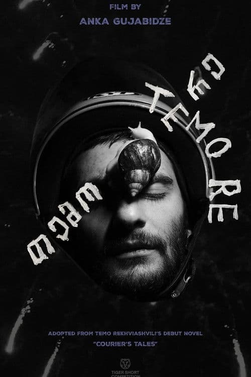 Temo Re poster