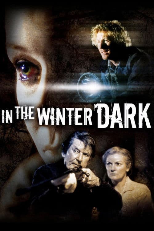 In the Winter Dark poster