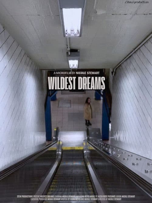 Wildest Dreams poster