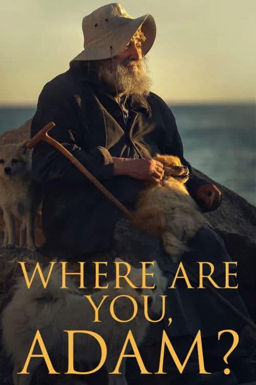Where are you, Adam? poster
