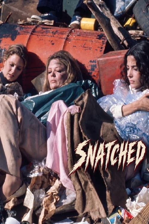 Snatched poster