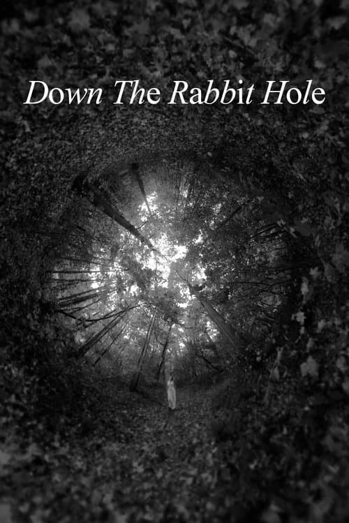 Down The Rabbit Hole poster