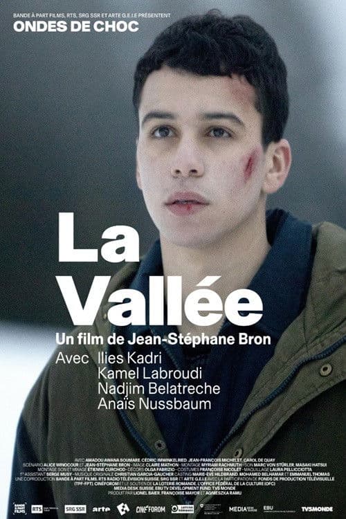 La Vallée poster