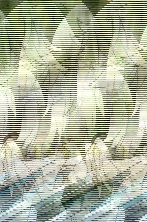 Spring Taylor profile photo