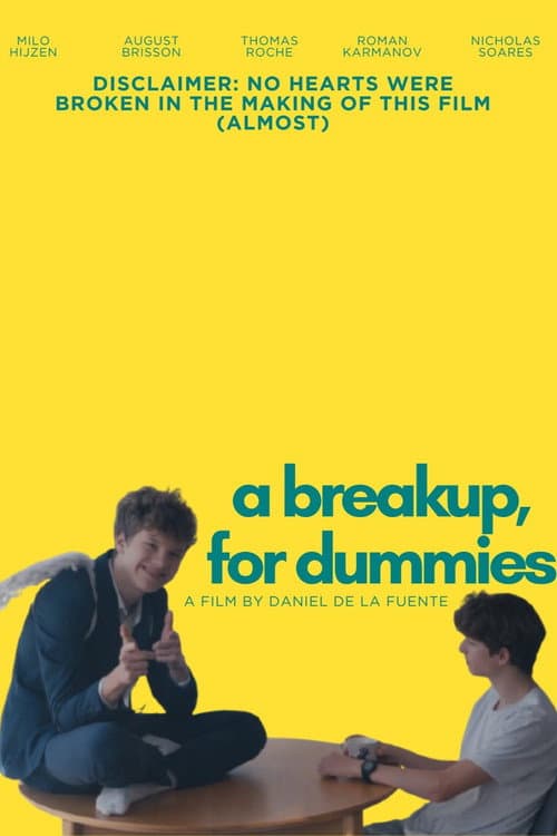 A Breakup, for Dummies. poster