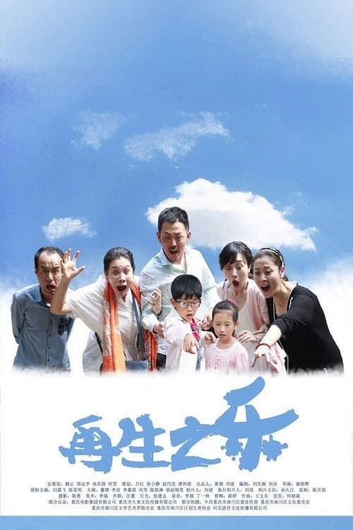 Joy of Second Child poster