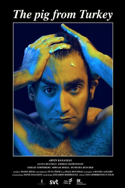 The Pig from Turkey poster