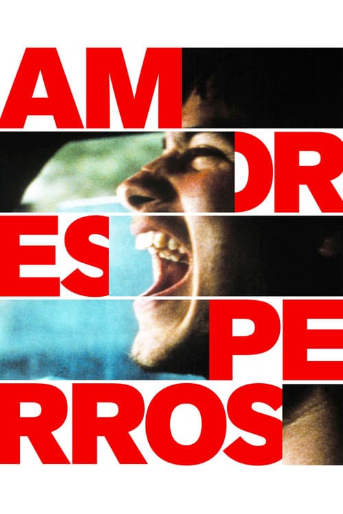Amores Perros poster