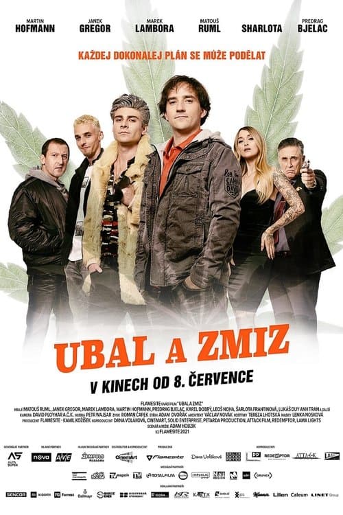 Ubal a zmiz poster