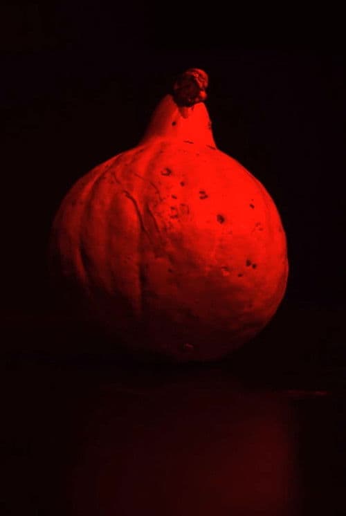 W dyni się nie mieści poster