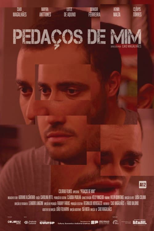 Pedaços de Mim poster