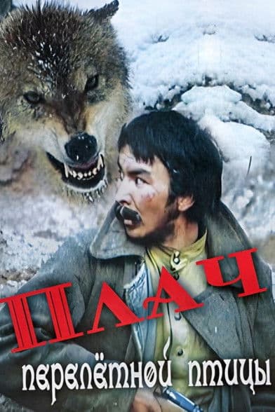 The Cry of a Migratory Bird poster