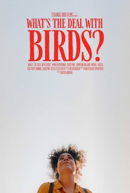 What's The Deal With Birds? poster
