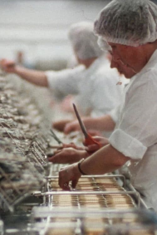 Les Filles de la Sardine poster