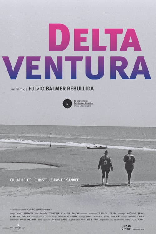 Delta Ventura poster