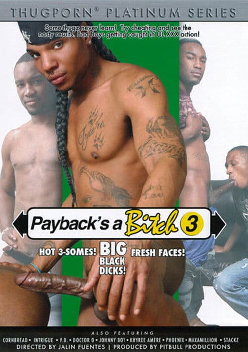Payback's a Bitch 3 poster