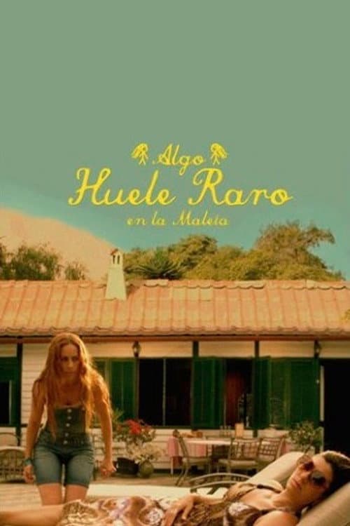Algo huele raro en la maleta poster