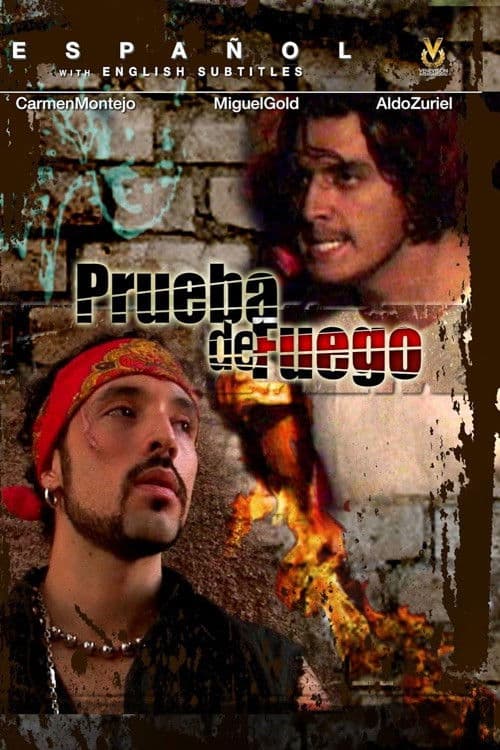 Las Ladrilleras poster