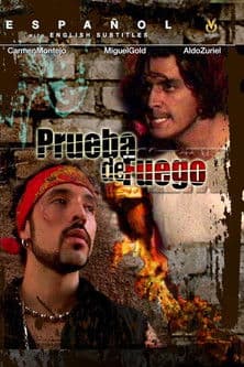 Las Ladrilleras poster