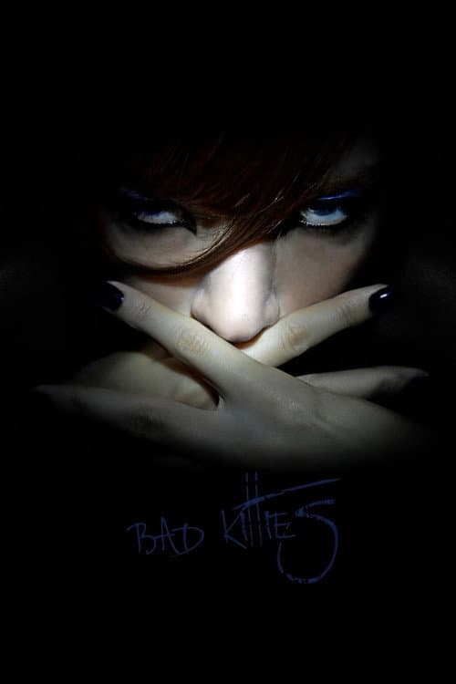 Bad Kitties poster