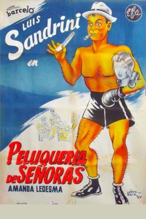Peluquería de señoras poster