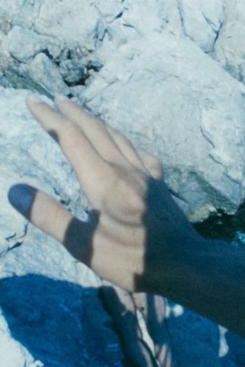 Winged Dialogue poster