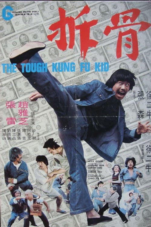 The Tough Kung Fu Kid poster