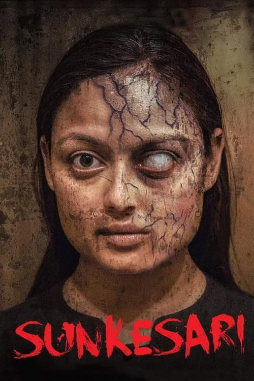 Sunkesari poster