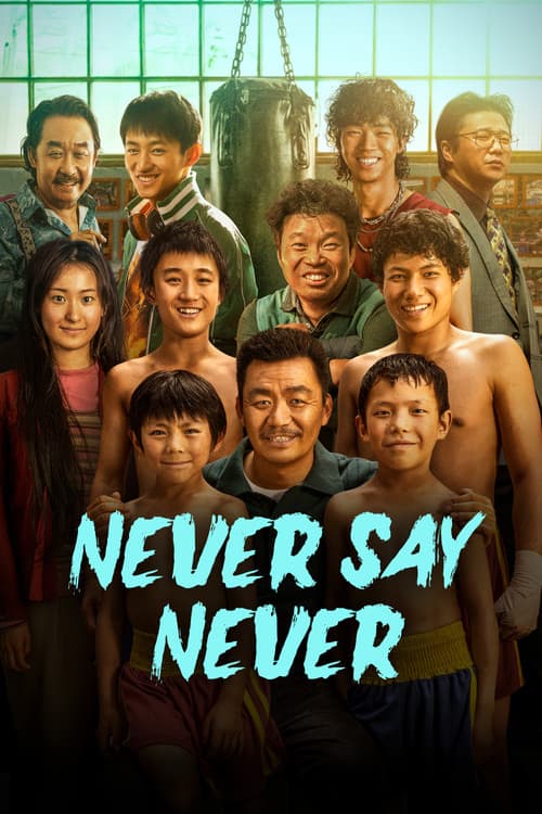 Never Say Never poster