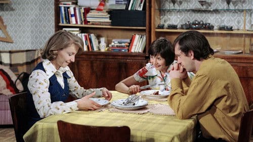 Podnájemníci poster