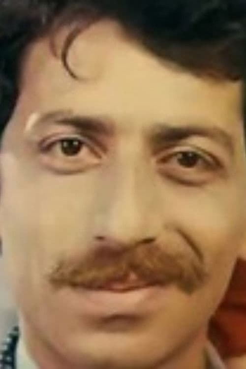 გაზაფხულის საღამო poster