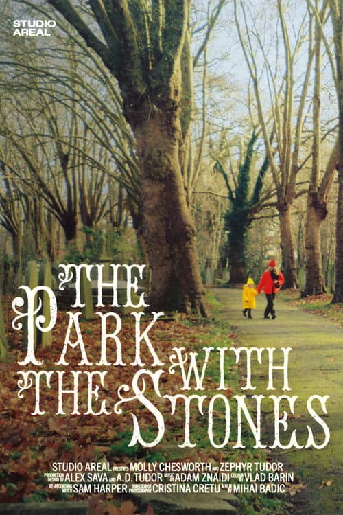 The Park with the Stones poster