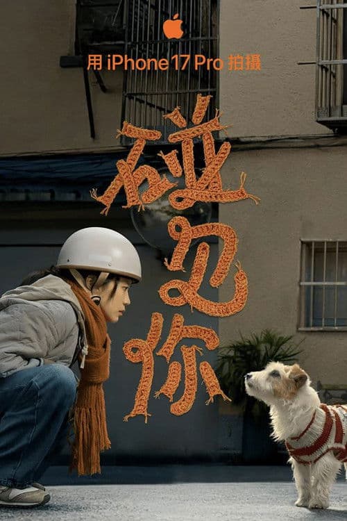 Glad I Met You poster