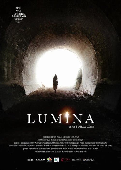 Lumina poster