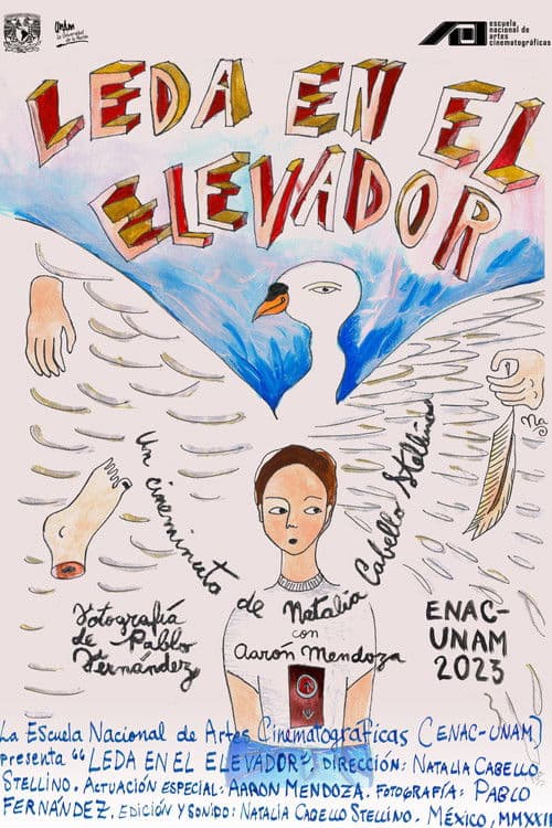 Leda in the Elevator poster