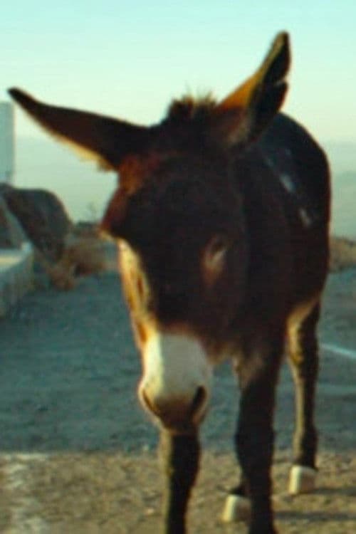 Palaye profile photo