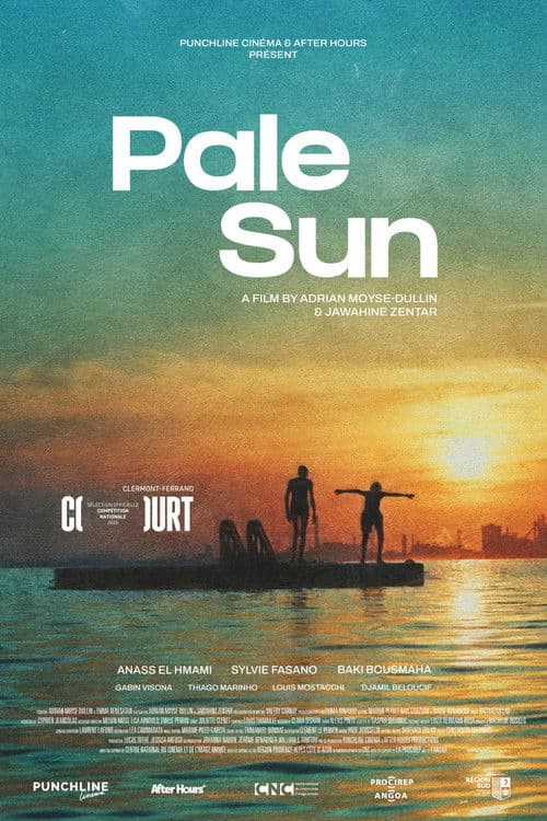 Pale Sun poster