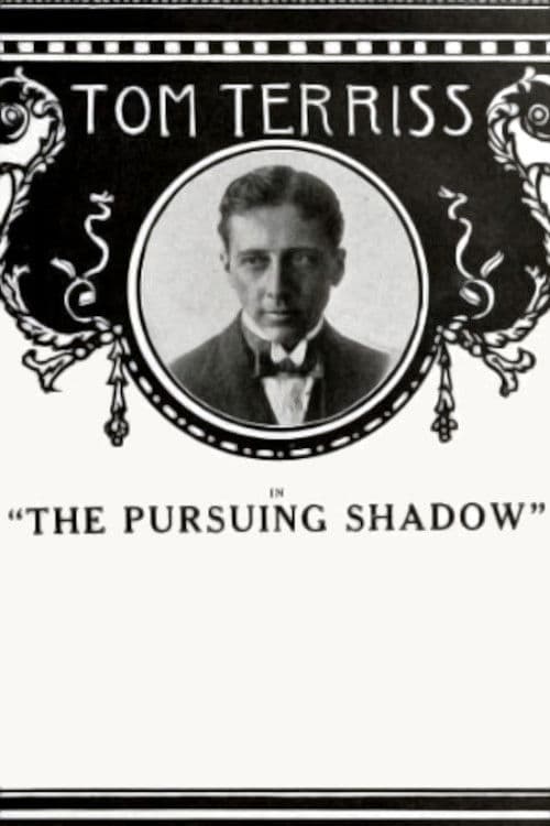 The Pursuing Shadow poster