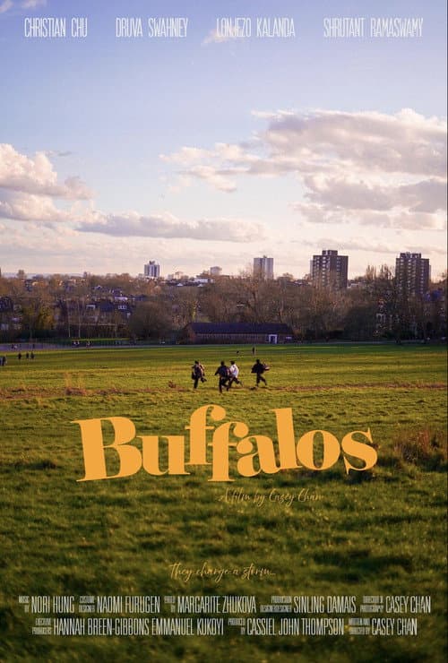 Buffalos poster