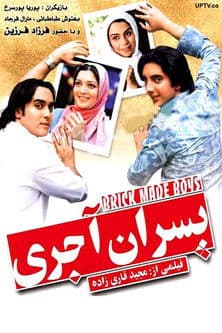 brick boys poster