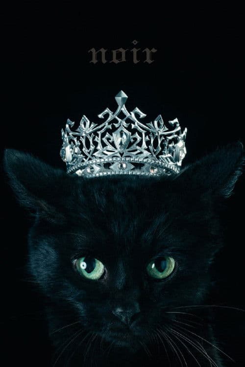 Aimer: Best Selection "noir" (Limited Edition Bonus) poster