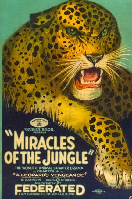 Miracles of the Jungle poster