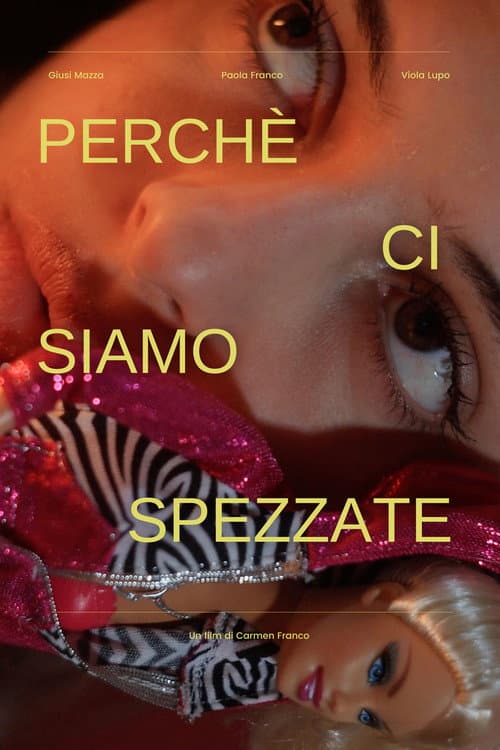 Perché ci siamo spezzate poster