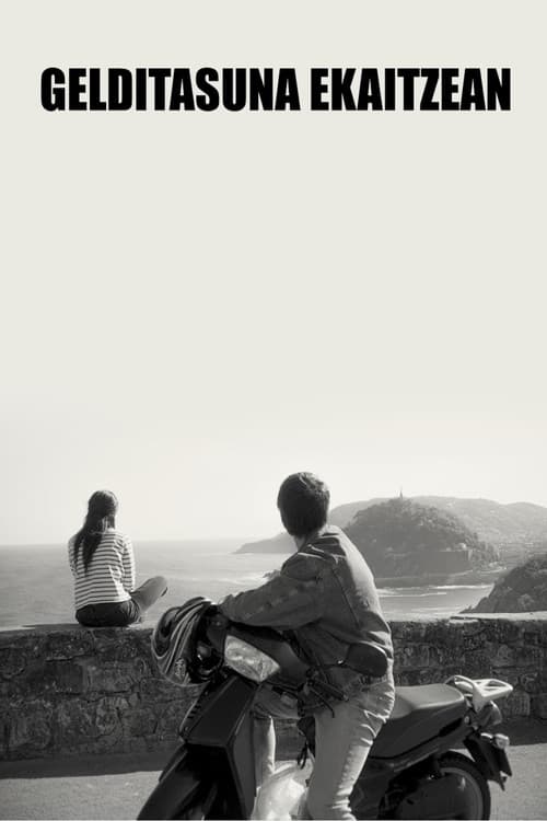 Stillness in the Storm poster