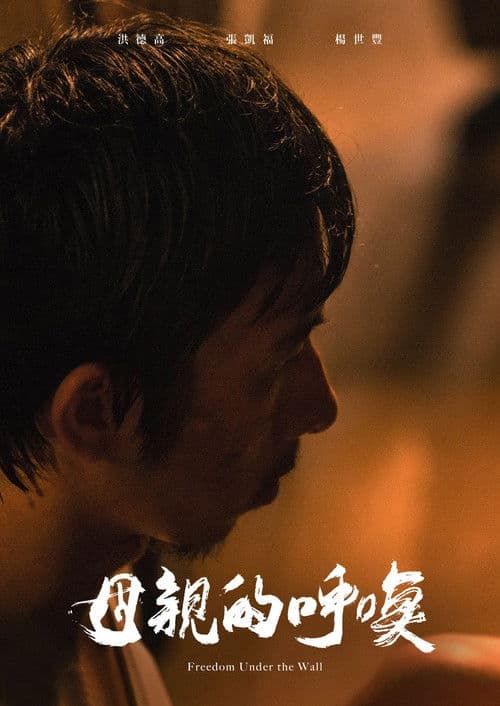 Freedom Under the Wall poster