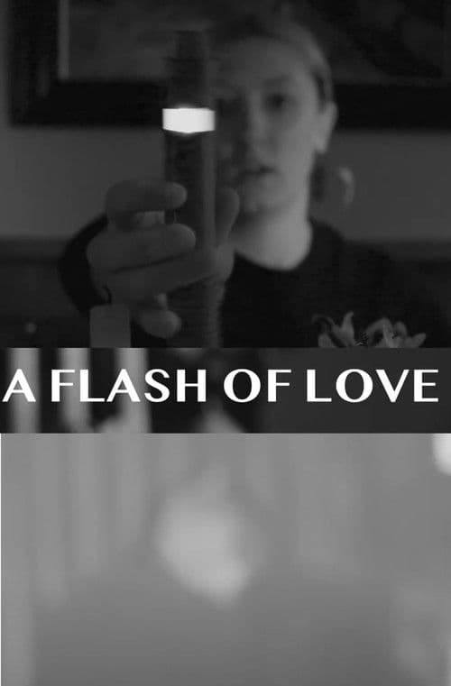 A Flash Of Love poster