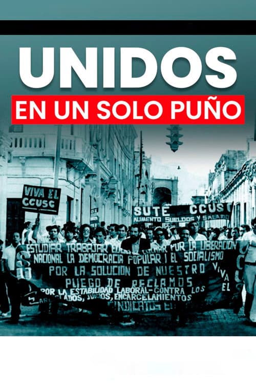 Unidos en un solo puño poster