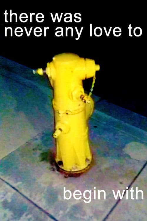 there was never any love to begin with poster