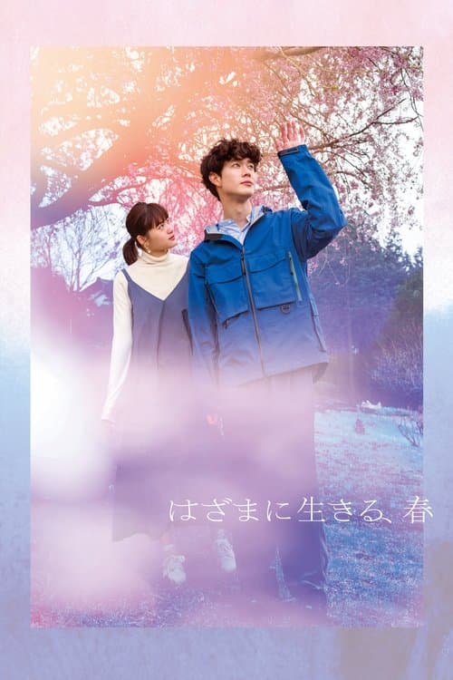 Spring in Between poster
